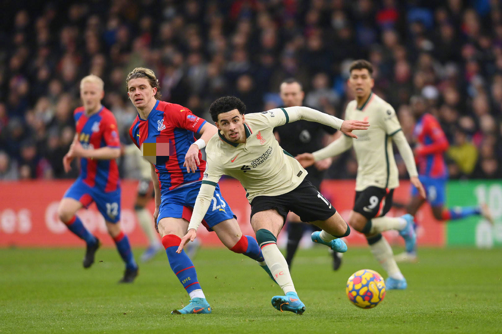 在罗马或在 在罗马或在