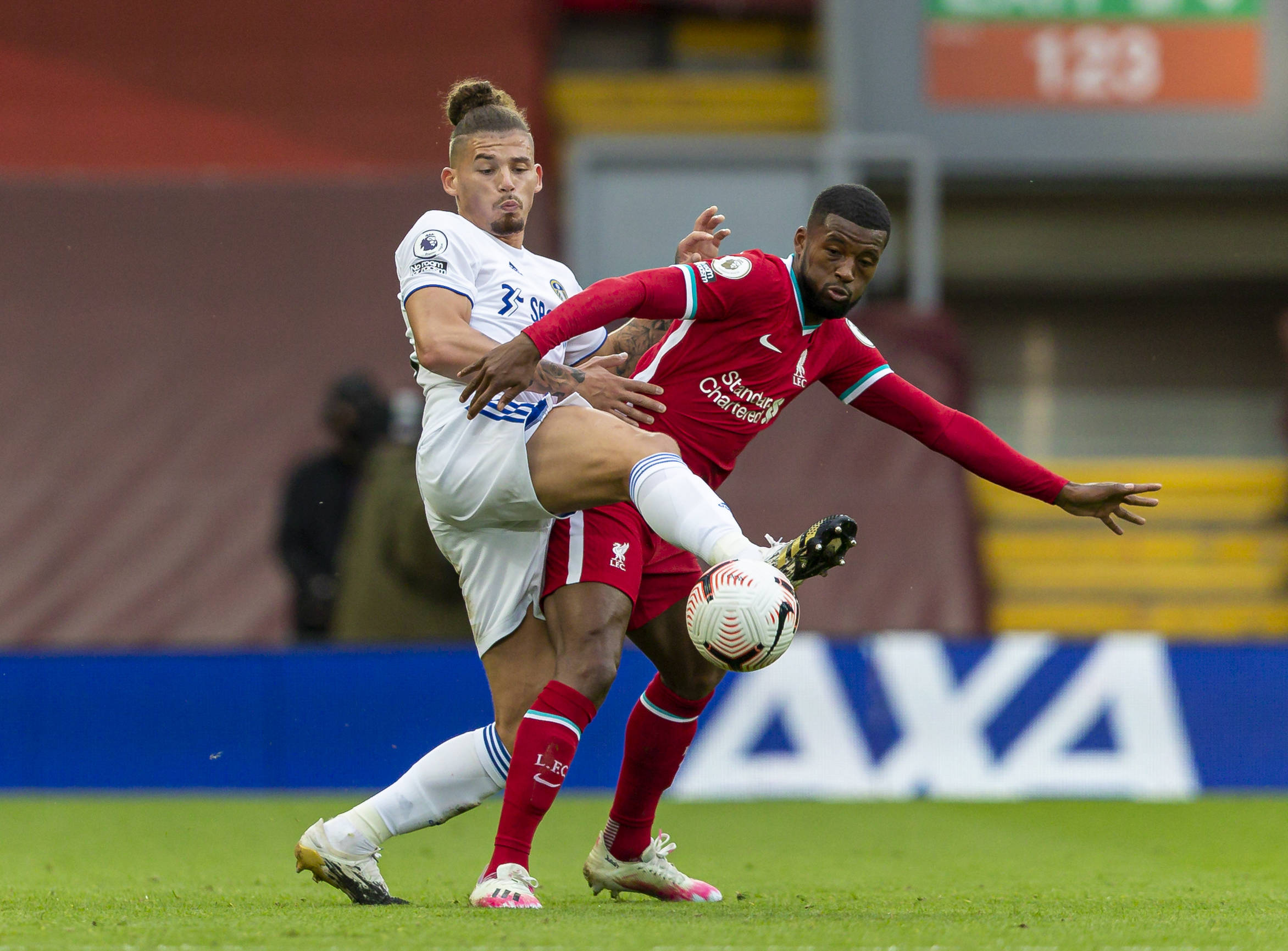 胆和果敢 胆和果敢